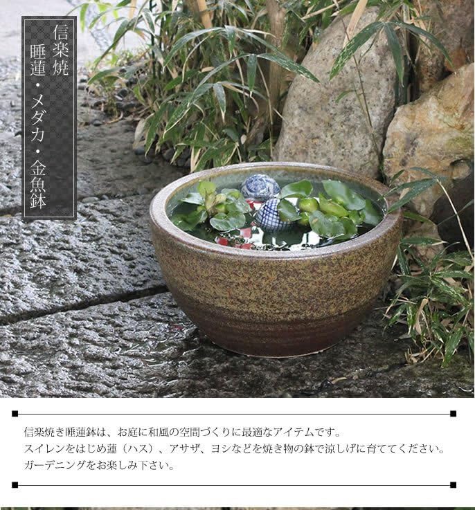 Amazon.co.jp: しがらき焼 10号水鉢 すいれん鉢 メダカ鉢 睡蓮鉢